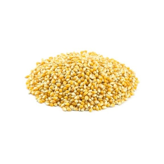 Popcorn (ziarno kukurydzy) 25 kg BIO surowiec cena 76,73$