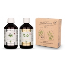 Joy Day probiotyczny ekstrakt ziołowy probioborelio bezglutenowy (2x300ml) BIO