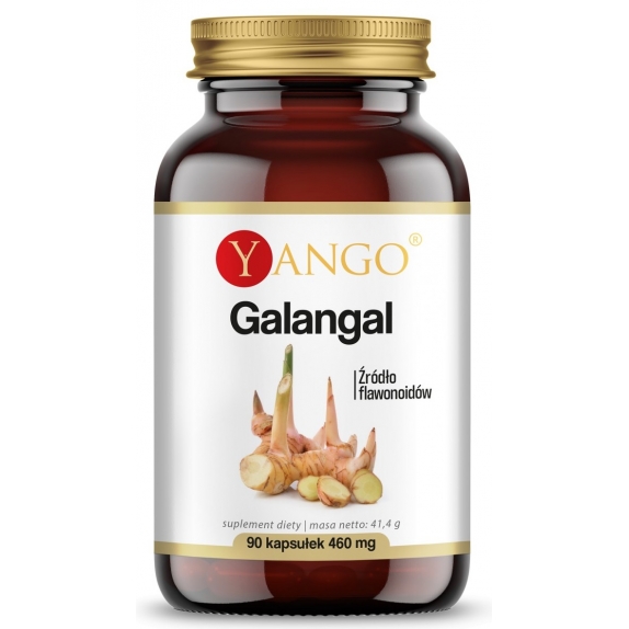 Galangal ekstrakt 90 kapsułek Yango cena 9,15$