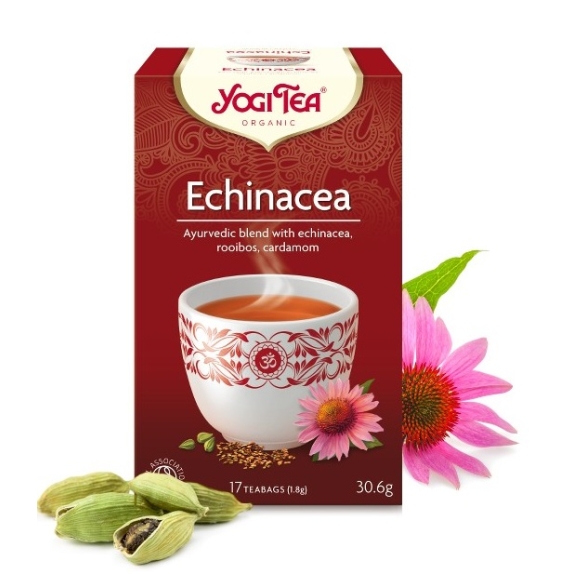 Herbata echinacea 17 saszetek BIO Yogi Tea cena 3,26$
