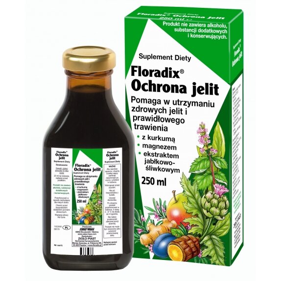 Floradix Ochrona Jelit 250 ml cena 14,77$