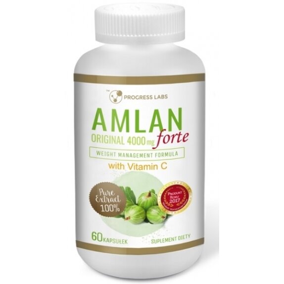 Amlan Forte 4000 mg Agrest Indyjski 60 kapsułek Progress Labs cena 41,79zł