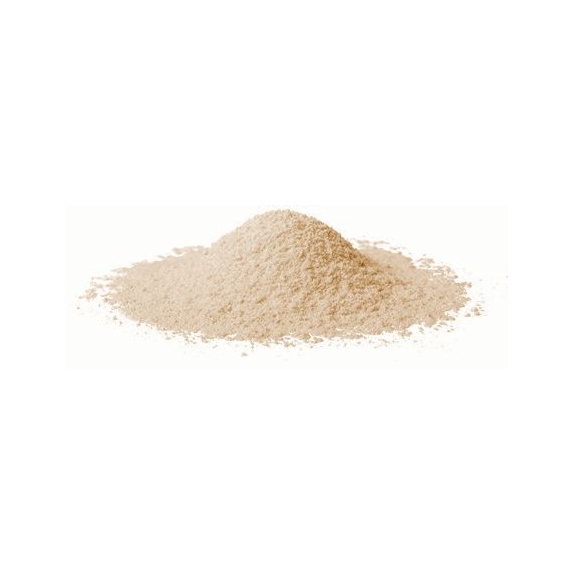 Mąka kasztanowa 20 kg BIO surowiec cena 779,79zł
