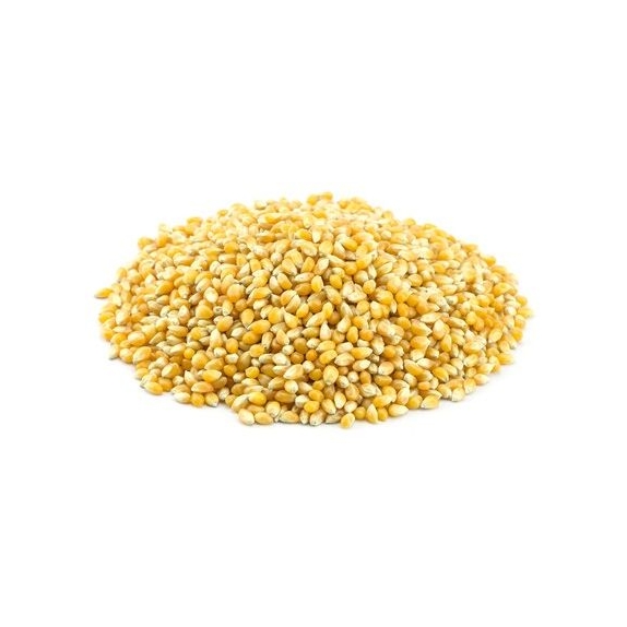 Popcorn (ziarno kukurydzy) 25 kg BIO surowiec cena €63,45