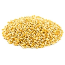 Popcorn (ziarno kukurydzy) 25 kg BIO surowiec