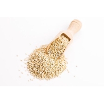 Quinoa biała (komosa ryżowa) 25 kg BIO surowiec