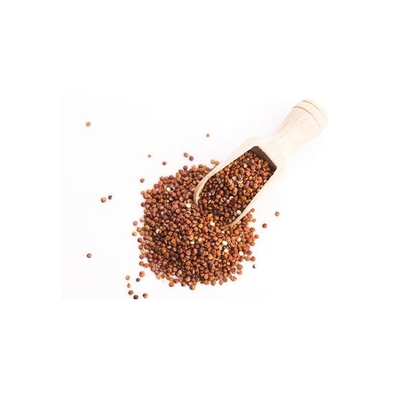 Quinoa czerwona (komosa ryżowa) 25 kg BIO surowiec cena €131,16