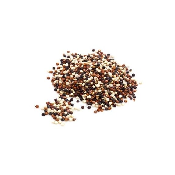 Quinoa trójkolorowa (Surowiec) BIO 25 kg cena 589,35zł