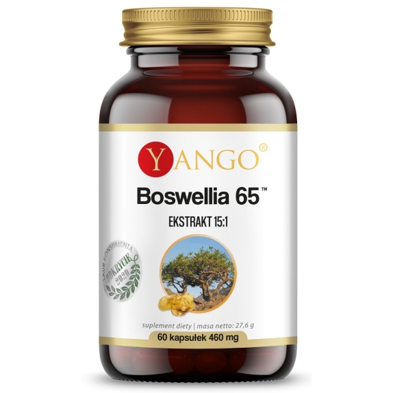 Yango Boswellia 65 60 kapsułek PROMOCJA cena 33,90zł