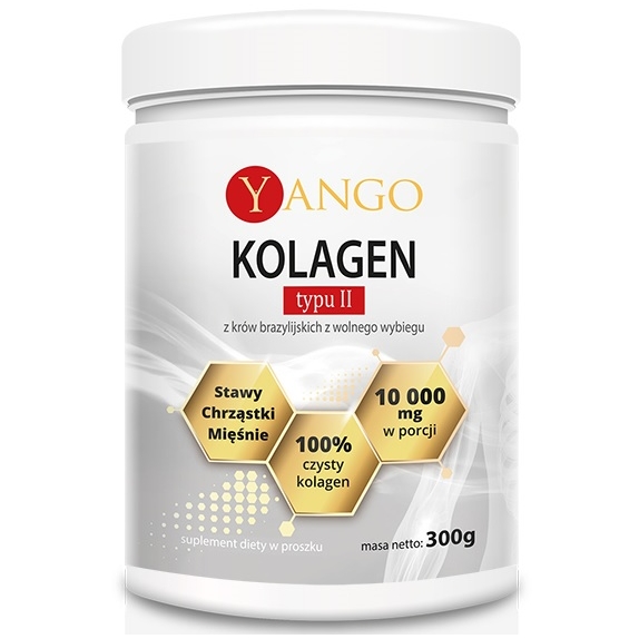 Yango Kolagen typu II 300 g cena 104,50zł