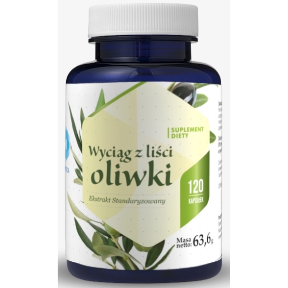 Hepatica Liść Oliwny 120kapsułek cena 10,77$