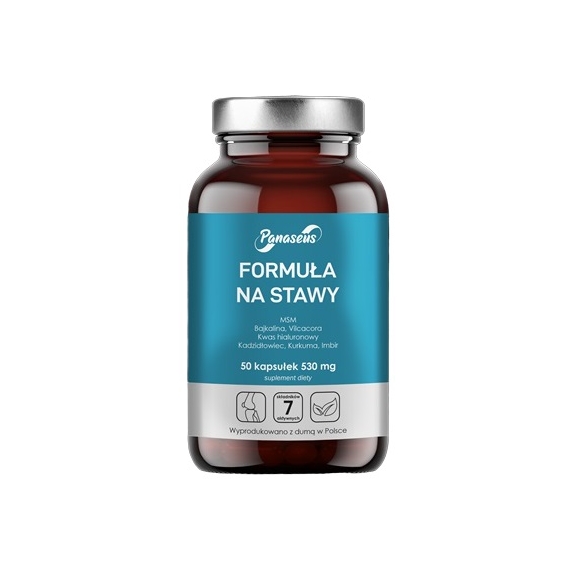 Yango Panaseus Formuła na stawy 530 mg 50 kapsułek cena 31,90zł