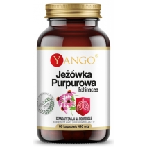 Jeżówka purpurowa echinacea 440 mg 60 kapsułek Yango