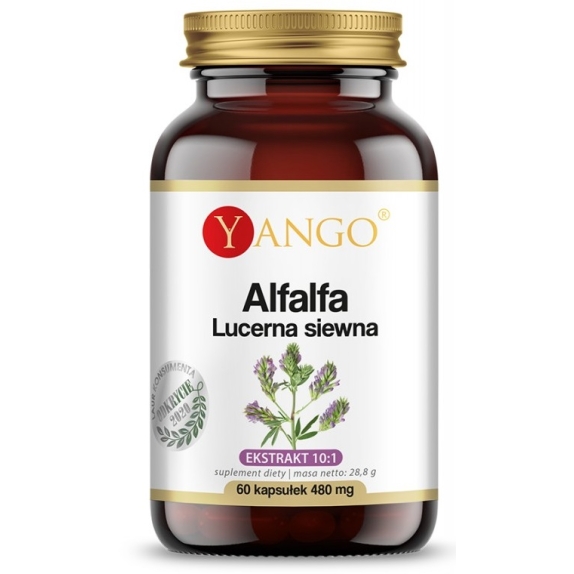 Yango Alfalfa Lucerna siewna 60 kapsułek cena 8,91$