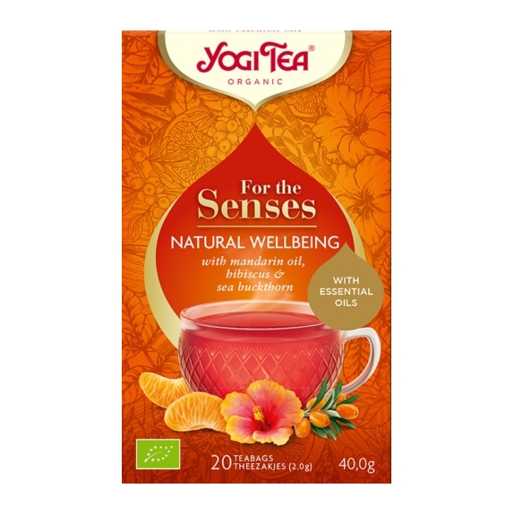 Herbatka szczęście z natury 17 saszetek 40 g BIO Yogi Tea cena €3,06