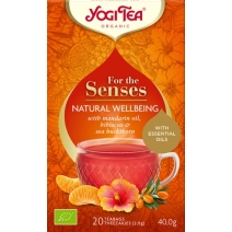 Herbatka szczęście z natury 17 saszetek 40 g BIO Yogi Tea