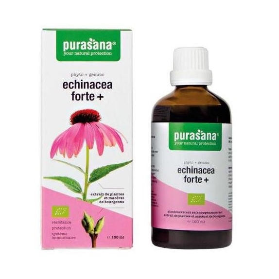 Echinacea Forte (Jeżówka Purpurowa) Krople BIO 100 ml Purasana cena €11,75