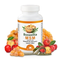 Dr Jacobs Boswellia MSM 90 tabletek