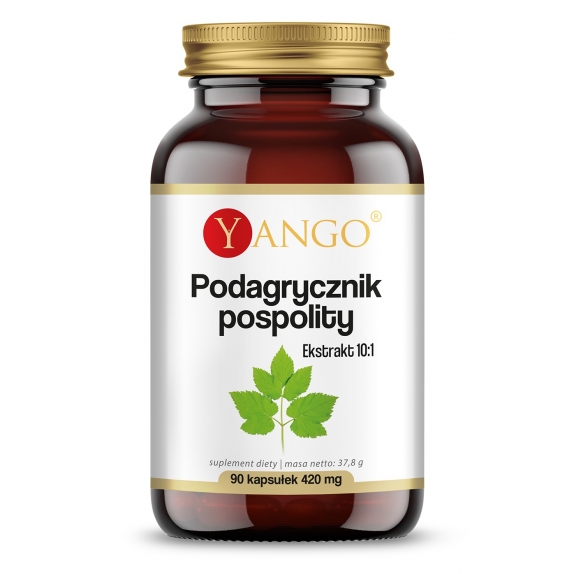 Yango Podagrycznik pospolity ekstrakt 10:1 420 mg 90 kapsułek cena 11,88$