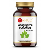 Yango Podagrycznik pospolity ekstrakt 10:1 420 mg 90 kapsułek