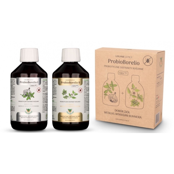 Joy Day probiotyczny ekstrakt ziołowy probioborelio bezglutenowy (2x300ml) BIO cena 39,35$