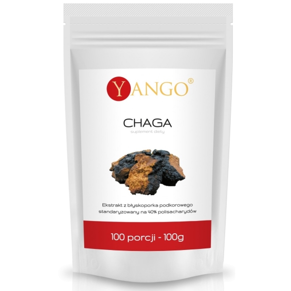 Chaga ekstrakt 40% polisacharydów 100 porcji 100 g Yango cena 132,00zł