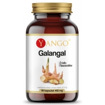 Galangal ekstrakt 90 kapsułek Yango