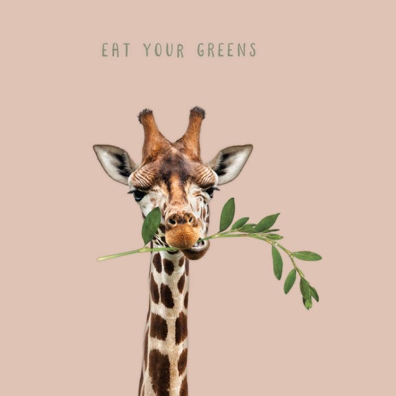 Chic-Mic serwetki stołowe bambusowe eat your greens 20 sztuk cena €2,65
