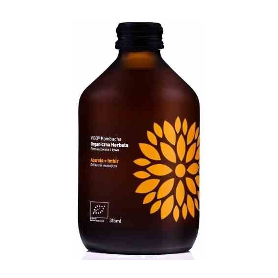 Kombucha imbir i acerola 330 ml BIO Vigol cena 7,35zł