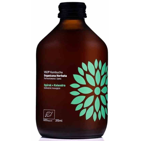 Kombucha ogórek i kolendra 330 ml BIO Vigo cena 7,29zł