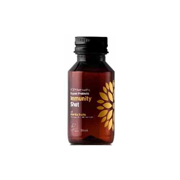 Kombucha probiotyk odporność shot 100 ml BIO Vigo cena 4,69zł
