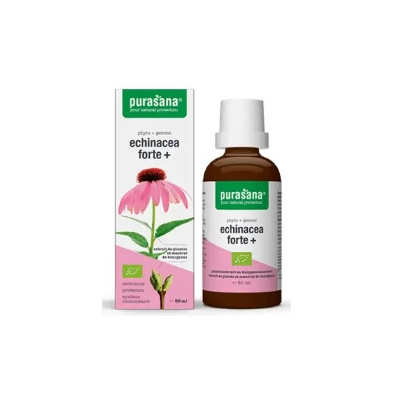 Echinacea Forte (Jeżówka Purpurowa) Krople BIO 50 ml Purasana cena 31,85zł