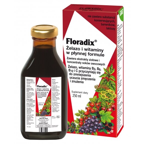 Floradix żelazo i witaminy 250 ml cena 44,72zł