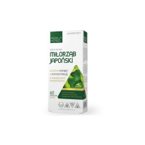 Medica Herbs Miłorząb Japoński 120 mg 60 kapsułek