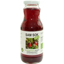 Sam sok z żurawiny wielkoowocowej NFC 250 ml BIO Viands