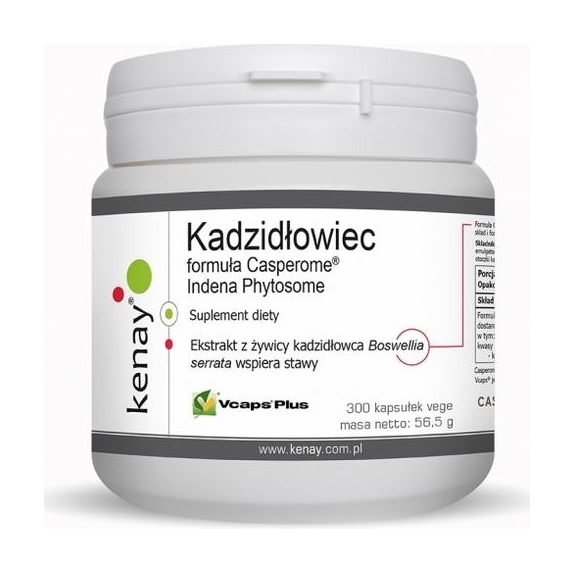 Kenay Kadzidłowiec formula Casperome® Indena Phytosome 300kapsułek cena 82,32$