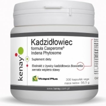 Kenay Kadzidłowiec formula Casperome® Indena Phytosome 300kapsułek