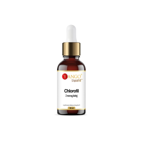 Yango Chlorofil z morwy białej 30 ml cena 7,91$