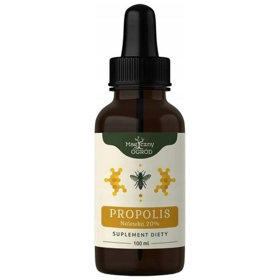 Nanga Propolis nalewka ekstrakt 20% 100ml cena 47,78zł