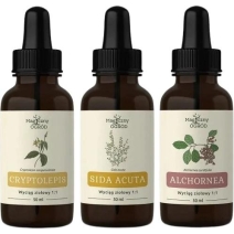 Nanga Protokół na babejsziozę Buhnera - CSA 150ml cena 85,80zł