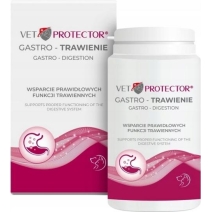 Vet Protector Gastro Trawienie wsparcie trawienia u psów i kotów proszek 150g cena 48,49zł