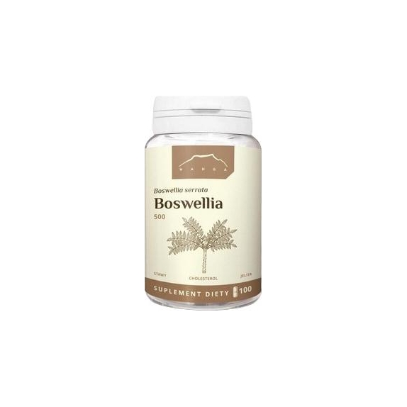 Nanga Boswellia 100 kapsułek cena 35,85zł