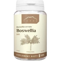 Nanga Boswellia 100 kapsułek cena 35,85zł