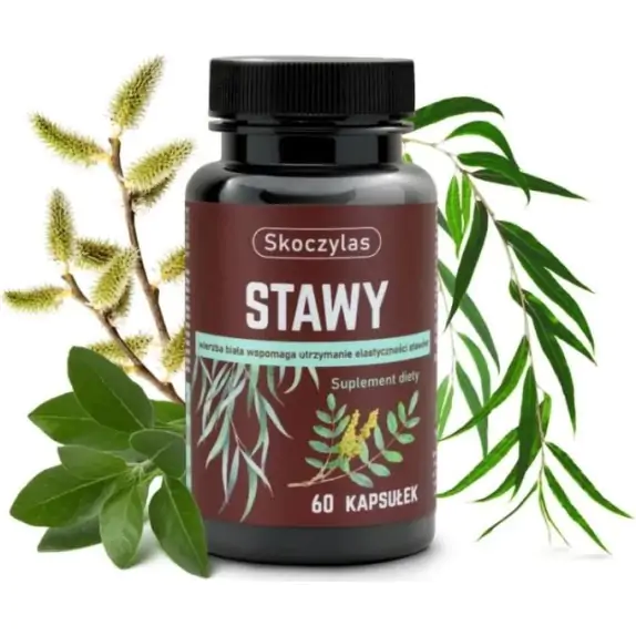 Skoczylas Stawy Kadzidłowiec + Wierzba + Ashwagandha + Sosna 60kapsułek cena 96,90zł