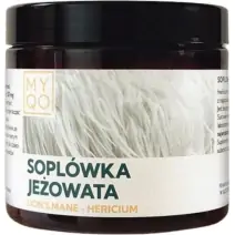 MYQO Soplówka Jeżowata Lion's Mane Hericium Ekstrakt 500 mg 90 kapsułek cena 99,90zł
