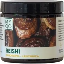 MYQO Reishi Lakownica lśniąca 500 mg 90 kapsułek cena 100,00zł