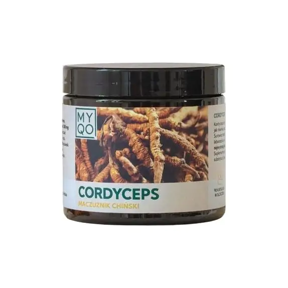 MYQO Cordyceps Sinensis (maczużnik chiński) 90 kapsułek cena 125,00zł
