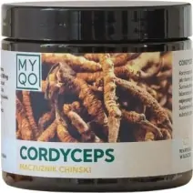 MYQO Cordyceps Sinensis (maczużnik chiński) 90 kapsułek cena 125,00zł