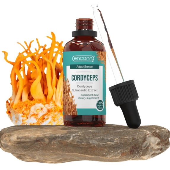 Encann Cordyceps (Maczużnik Bojowy) ekstrakt w kroplach 50 ml cena 97,90zł