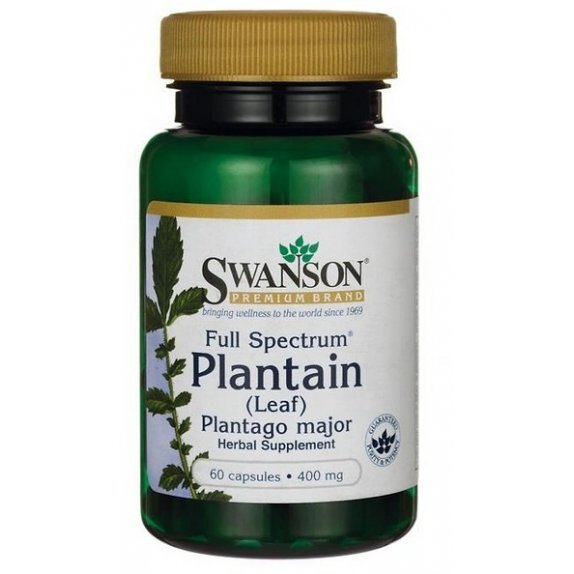 Swanson full spectrum plantain (babka zwyczajna) 60 kapsułek cena 16,79zł